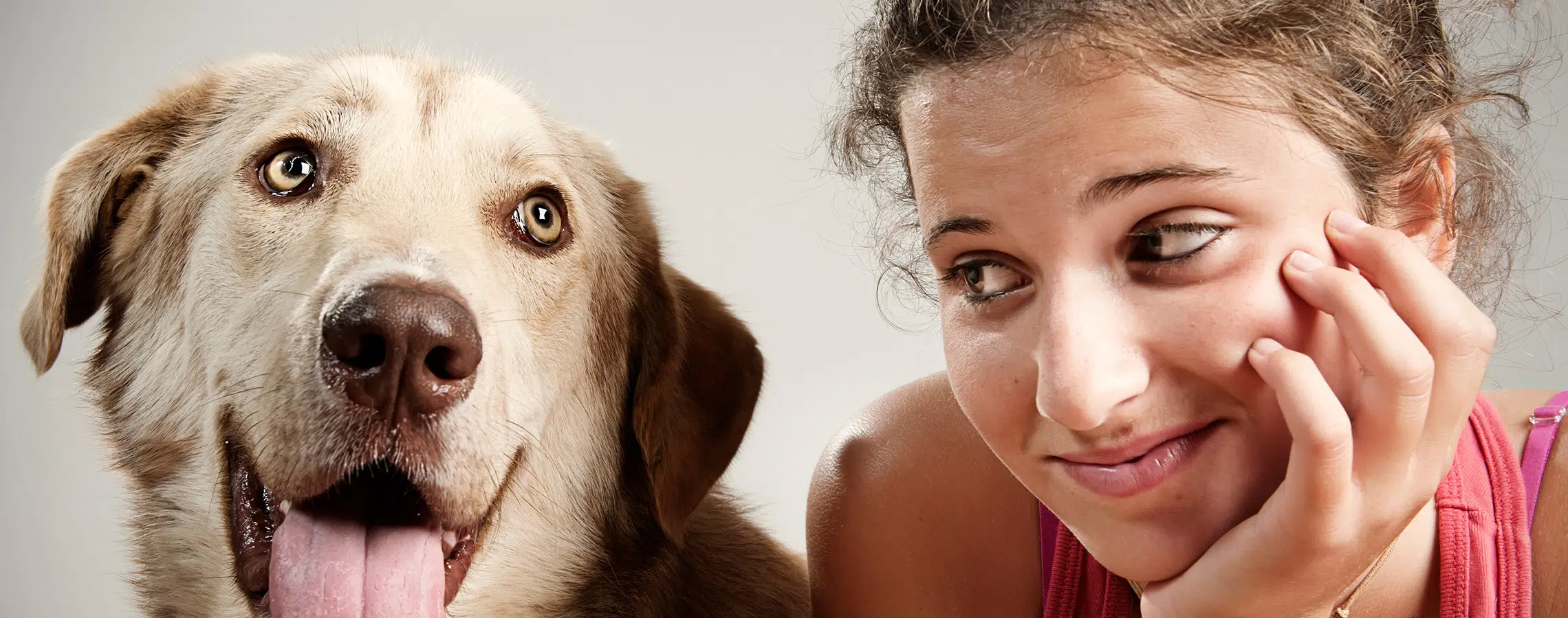 A dog and a person sit close the dog panting happily and the person smiling warmly in a bright setting.