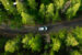 aerial shot of BMW driving through forest