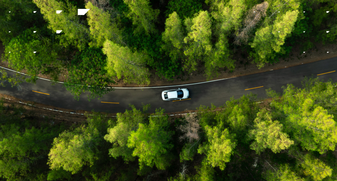aerial shot of BMW driving through forest
