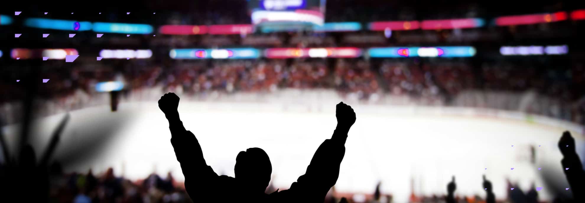 Sports and Retail thought leadership post with Adler Mannheim hero