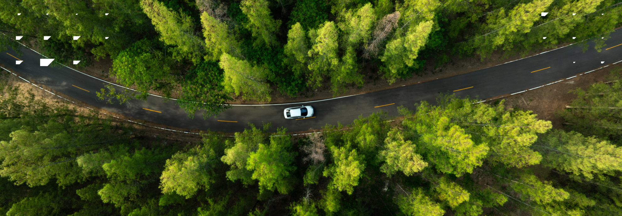 aerial shot of a BMW driving through a forest
