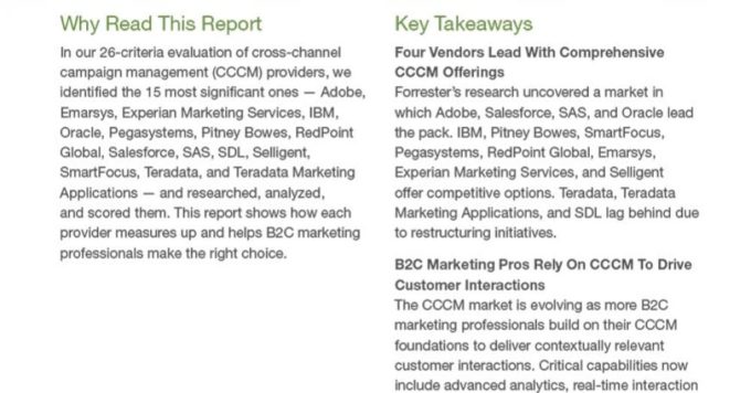 Emarsys cited as a Strong Performer in Cross-Channel Campaign Management