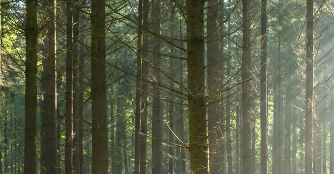 How to Do Proper Tree-Shaking in Webpack 2